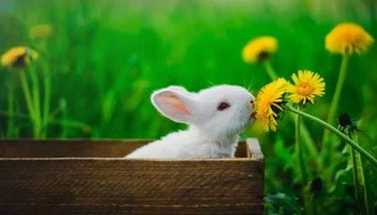 让热爱有云端的延展——开云体育带你走进运动的新生态